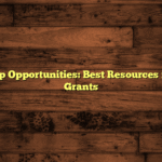 Scholarship Opportunities: Best Resources for Student Grants