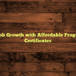 Unlock Job Growth with Affordable Programming Certificates